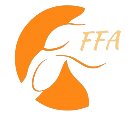 ffaacademy.com